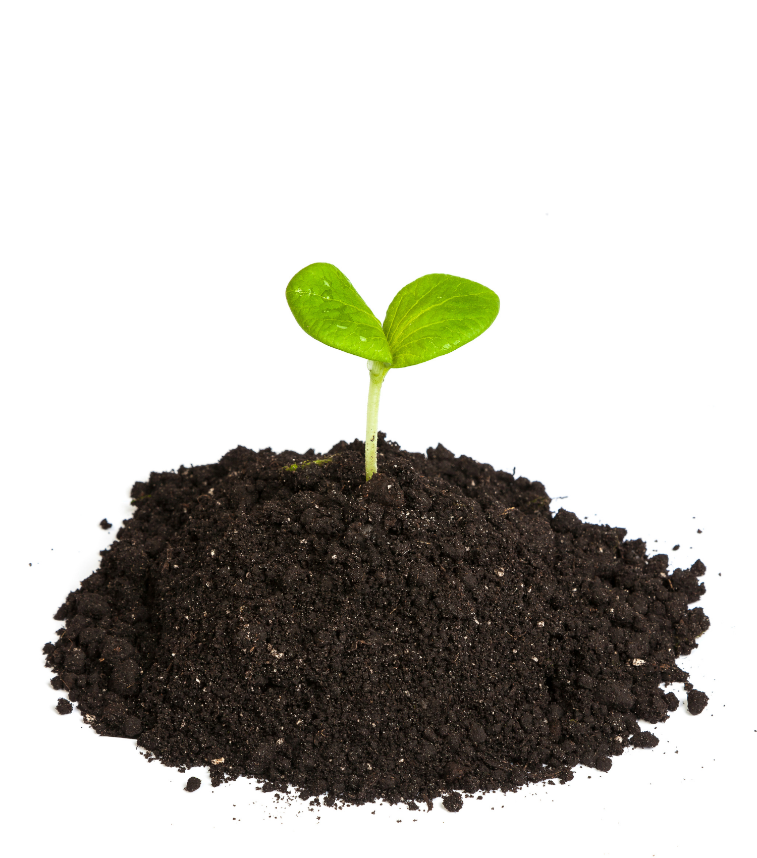 Compost Derek Garden Centre Malta